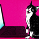 Illustration for article titled Teach Your Cat to Use Skype With This Pet Friendly Guide
